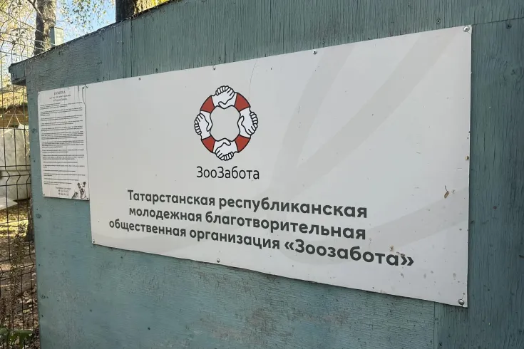 Госэкспертиза РТ поддержала приют для животных в Высокогорском районе РТ